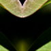 t10